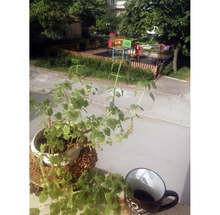 Галерията в Кюстендил показва традиционната изложба на кюстендилските художници виртуално