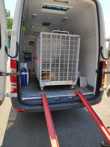 Лъвът Хектор е здрав и отново е в Пазарджик с Рая