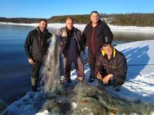 Повече от 50 килограма риба е освободена от бракониерски мрежи в язовир "Ястребино"