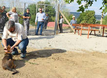 В Приюта за бездомни животни в Разград вече има площадка за разходка на кучета