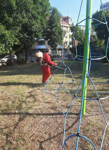 Във Видин и общината се извършва обработки срещу комари, кърлежи и бълхи