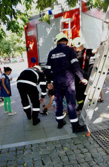 Пожарникари свалиха коте от високо дърво в центъра на Благоевград