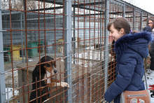 Пернишки ученици дариха 100 кг кучешка храна