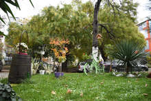 Кметът на Пазарджик отличи граждани, полагащи грижи за междублоковите градинки