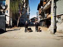 Спад на престъпленията наполовина отчитат от полицията в Пловдив