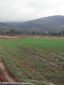 Близо 567 000 лева приходи от земеделски земи са постъпили в бюджета на община Тервел