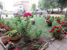 Определиха собствениците на най-красивите цветни градини и балкони в Разград