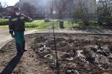 В Разград вандали са изкоренили цветята от градинката пред Дома на учителя