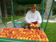 Румънските търговци се насочват към българските праскови, заради мерките против пандемията в Гърция