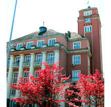 В Плевен влизат в сила промени в общинска наредба за платеното паркиране