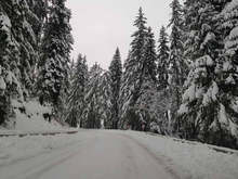 До 25 см е снежната покривка във високите части на област Смолян