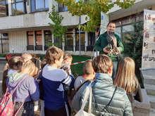 Десетки деца са се включили в "Нощ на прилепите" в Ловеч