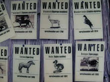 Русенският музей подготвя изложба за търговията със застрашени от изчезване растения и животни