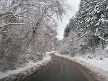 В планината в Габровско за часове снежната покривка достигна 12 сантиметра
