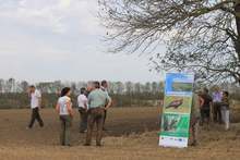 И горските пояси в Добруджа съхнат, започва подмяна на влаголюбивите видове