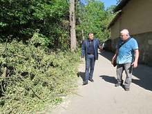 Не са установени нарушения при санитарна сеч в парка "Кайлъка"