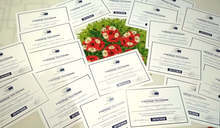 Ученици от Езиковата гимназия в Плевен са отличени от Бюрото на Европейския парламентв България