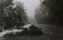 Временно се затварят за движение планинските пътища "Драгалевци - Алеко" и "Бояна - Златни мостове"