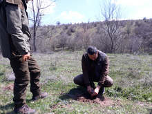 Нови гори се създават в Паламара