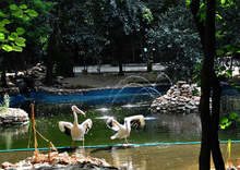 Ремонтират спасителния център в зоопарка във Варна