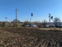 В Добричка област са инвестирани 400 000 лева в птицезащитни устройства и обезопасяване на електропроводи