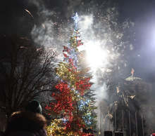 Градската коледна елха на Плевен  заблестя тази вечер в хиляди многоцветни светлини