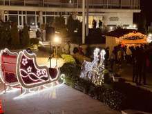 Коледният базар в Златоград обяви дарителска кауза