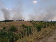 Овладян е пожарът край хасковското село Брягово