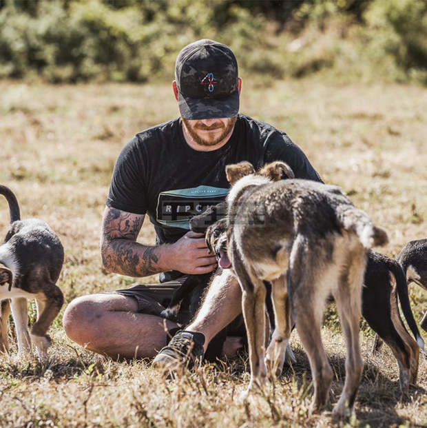 Английски фотограф прави фотосесия на кучета и котки от Общинския приют в Русе