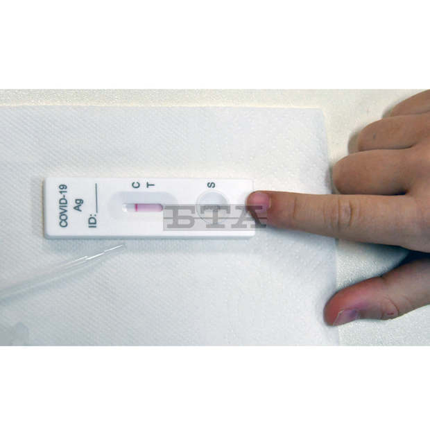 В Добричка област 5624 ученици от пети-дванадесети клас влизат в класните стаи след тестване