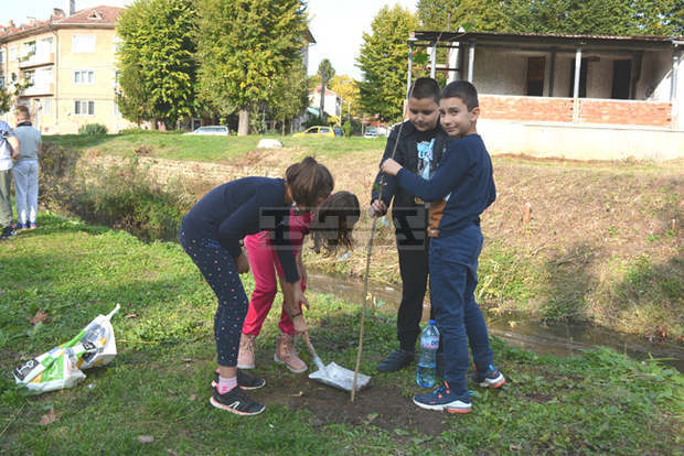 Възпитаниците на 140-годишно училище в Павликени засадиха 140 дръвчета