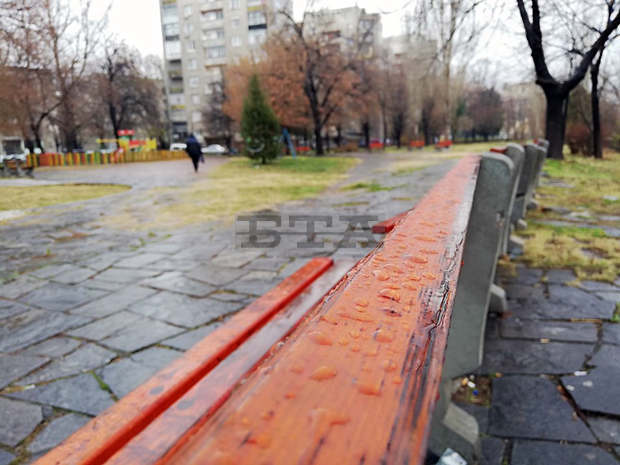 В Асеновград ще бъдат засадени 100 дървета и 10 000 цветя