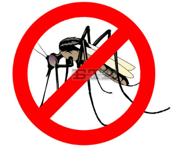 В Плевен ще бъде извършена обработка с топъл аерозол срещу комари от утре до петък