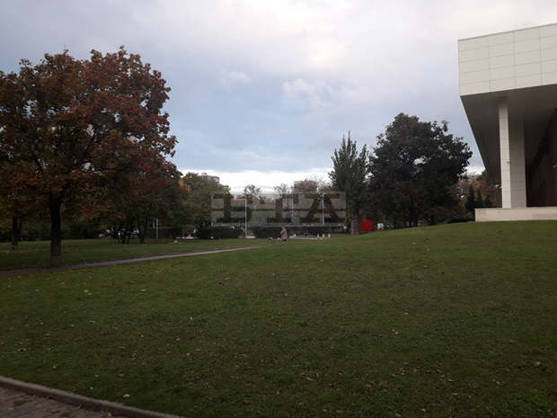 През октомври са проверени над 350 собственика на домашни кучета в столицата