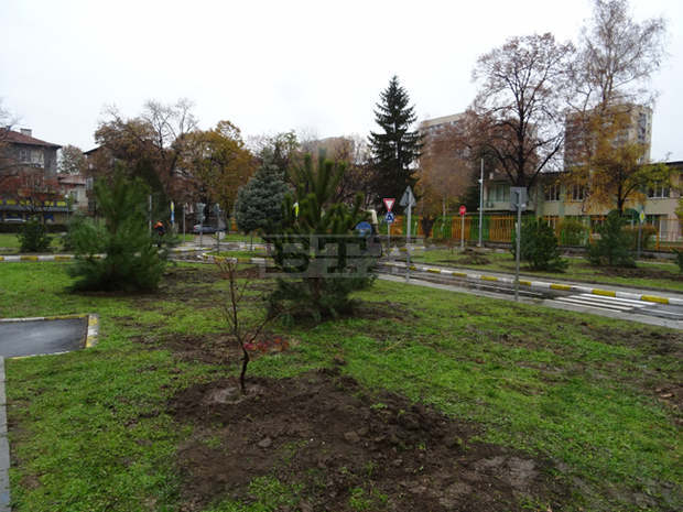Приключи залесителната кампания в район "Северен" в Пловдив