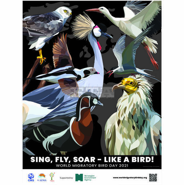 Редки видове птици се впускат в полет по линиите на софийското метро