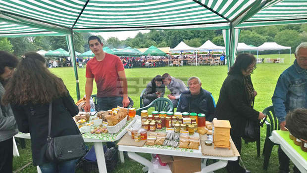 Тематичен семинар "Пчелите и хората - заедно" събира в Търговище пчелари от страната
