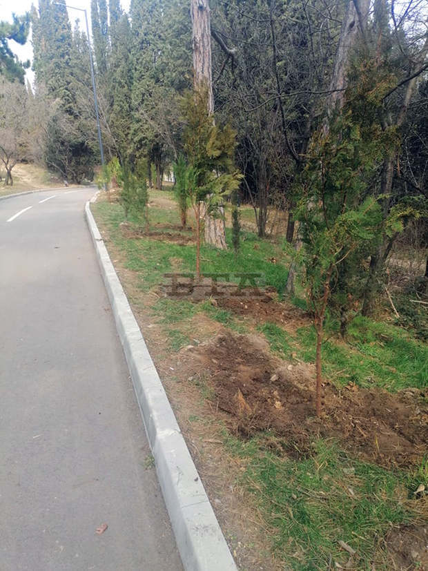 Община Стара Загора обогатява с нови 240 дръвчета парк "Митрополит Методий Кусев" Община Стара Загора обогатява с нови 240 дръвчета парк "Митрополит Методий Кусев"