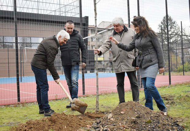 Вековни чинари засадиха във Видин преподаватели по математика