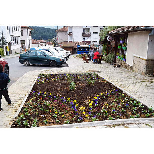 Повече от 24 000 луковици цветя ще бъдат засадени в Котел