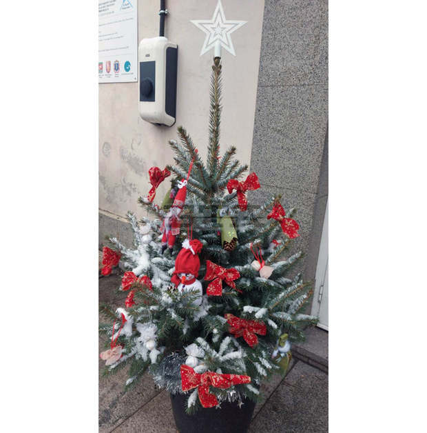 Естествените елхи да не се изхвърлят в кофите за битови отпадъци, призовават от Столичния инспекторат