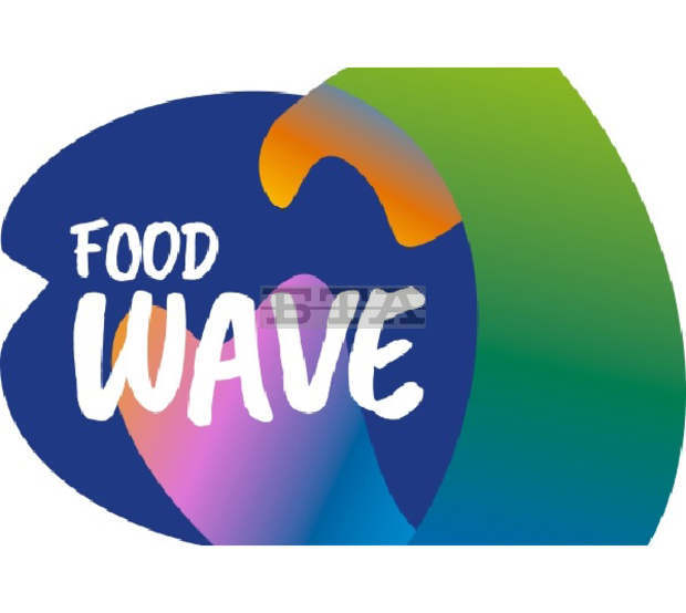 Хранителната верига отговаря за около 30 процента от глобалните емисии на въглероден диоксид, които са свързани с измененията на климата, съобщиха от проекта "Food Wave"