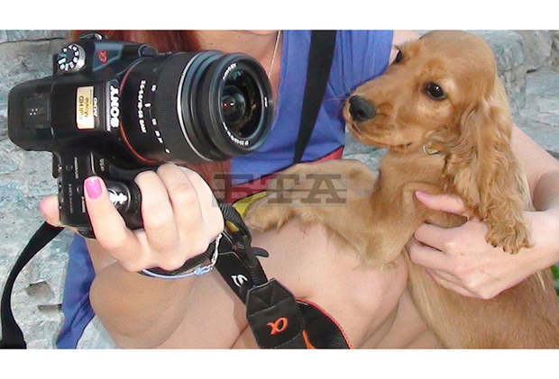 Фотоконкурс на тема "Споделени мигове с моето семейство по време на предизвикателството COVID-19" обяви търговищко училище Фотоконкурс на тема "Споделени мигове с моето семейство по време на предизвикателството COVID-19" обяви търговищко училище