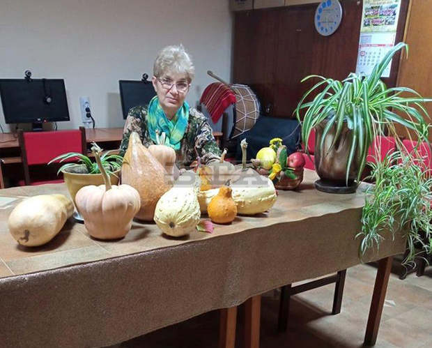 Изложба "Нейно величество - тиквата" подготвя читалището в силистренското село Кайнарджа