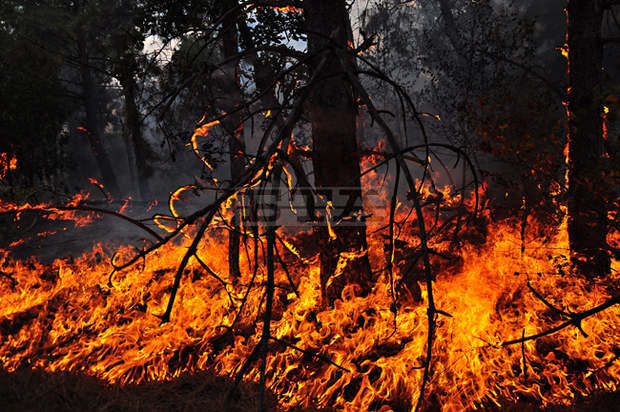 Пожар е избухнал днес следобед в района на полигон "Батмиш" и в гора край сливенското село Селиминово