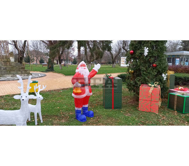 В Гулянци тази вечер ще грейнат светлините на 20-метровата коледна елха