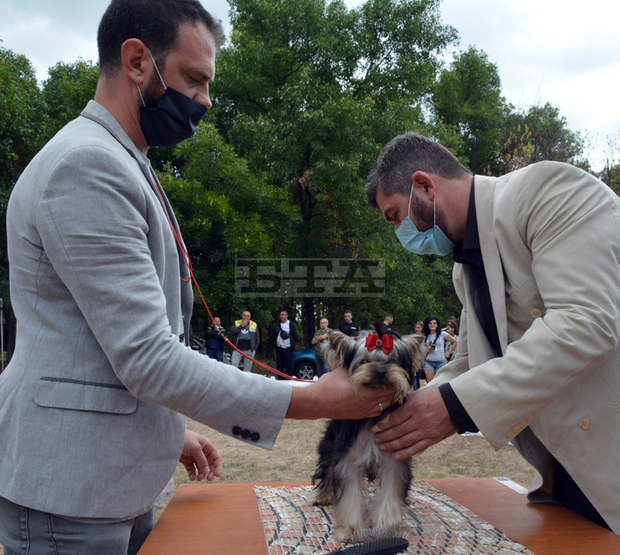 Харманли е домакин на двудневна национална киноложка изложба