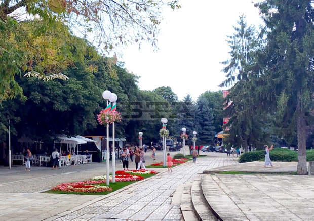 Декоративни рози ще бъдат засадени по паркове и градини в Исперих