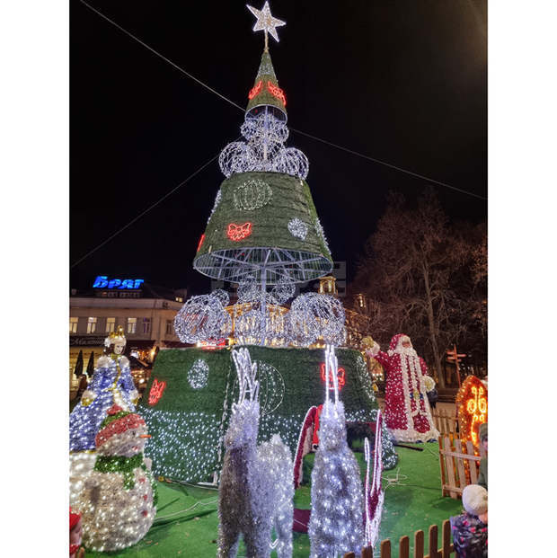 Тринайсетметрова коледна елха грейна в Русе