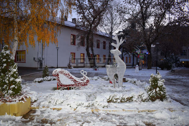 Светлините на коледната елха в Елин Пелин  ще бъдат запалени на 3 декември